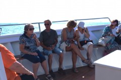 mare1-Copia
