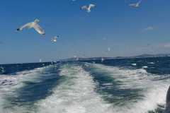 mare6