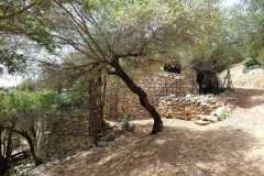 IMG-20240519-WA0035