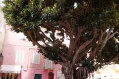 IMG-20240519-WA0097