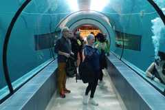 piscina-piu-profonda-del-mondo-41-m